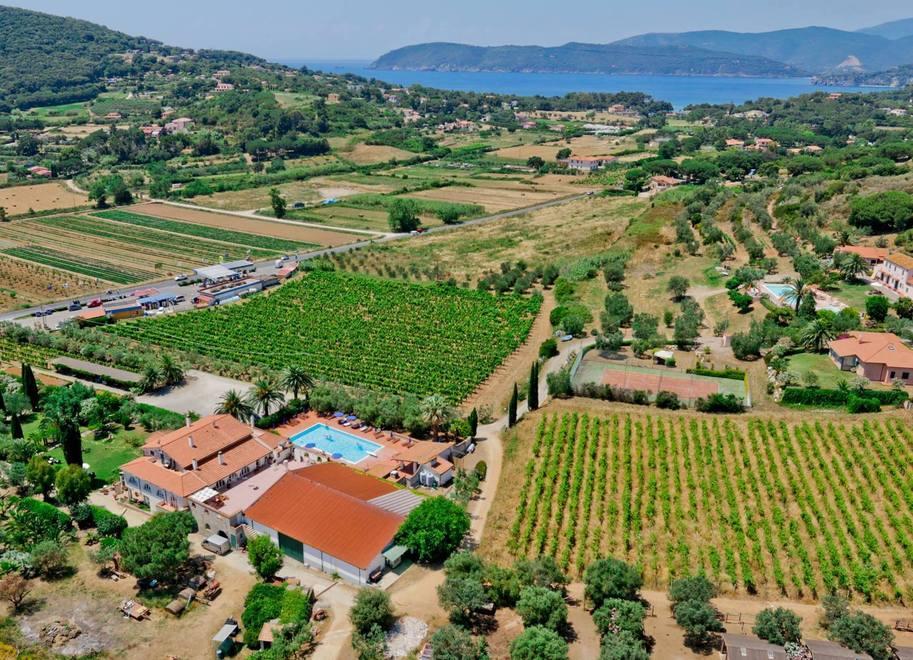 Vendite a picco, cantine piene: «Da quando c'è il Covid-19 lavoriamo per niente» 
