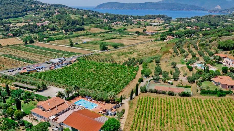 Vendite a picco, cantine piene: «Da quando c'è il Covid-19 lavoriamo per niente»