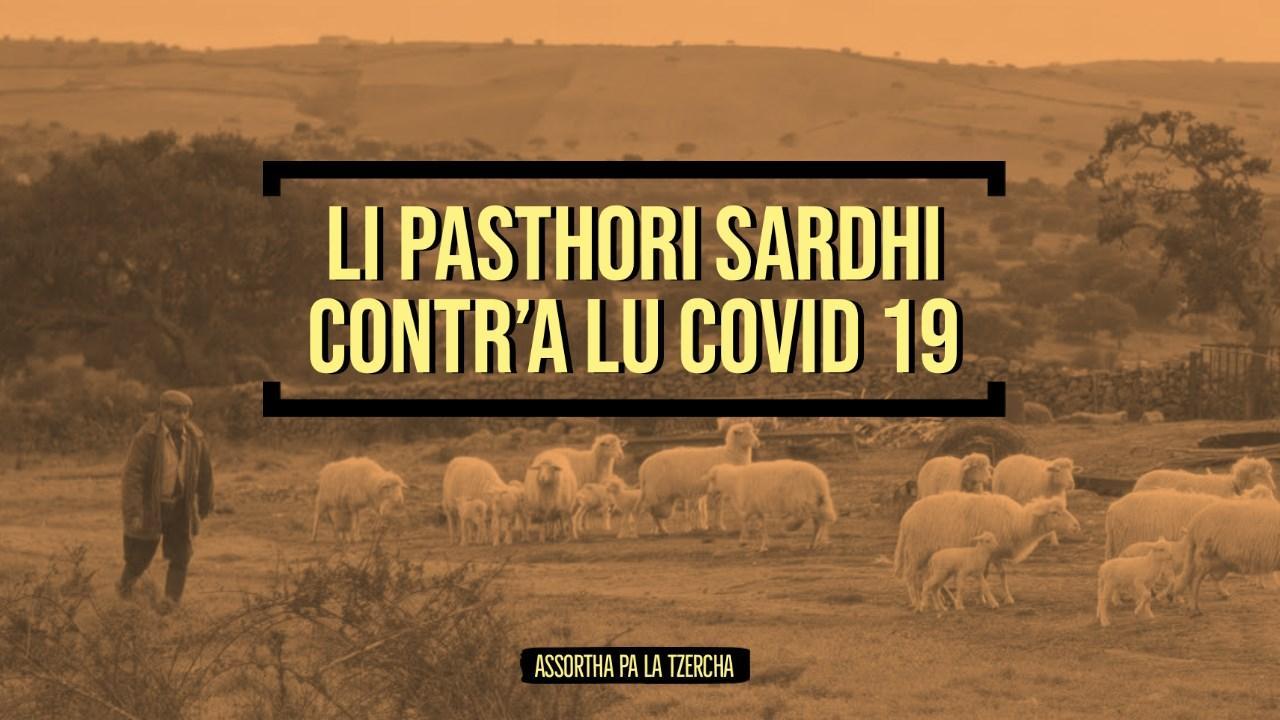 Coronavirus, la paradura dei pastori sardi: "Doniamo latte per le ricerche sul vaccino"