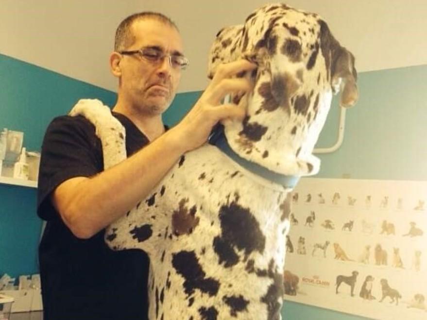 Fido, più amico che mai Rispettando l’igiene coccoliamolo sempre