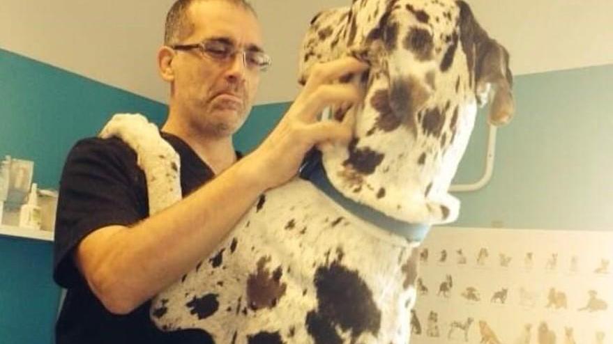 Fido, più amico che mai Rispettando l’igiene coccoliamolo sempre