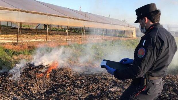 Abbruciamenti proibiti primi interventi e multe dei carabinieri forestali