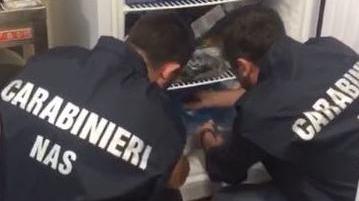 I carabinieri del Nas al lavoro Verifiche in cliniche e negozi