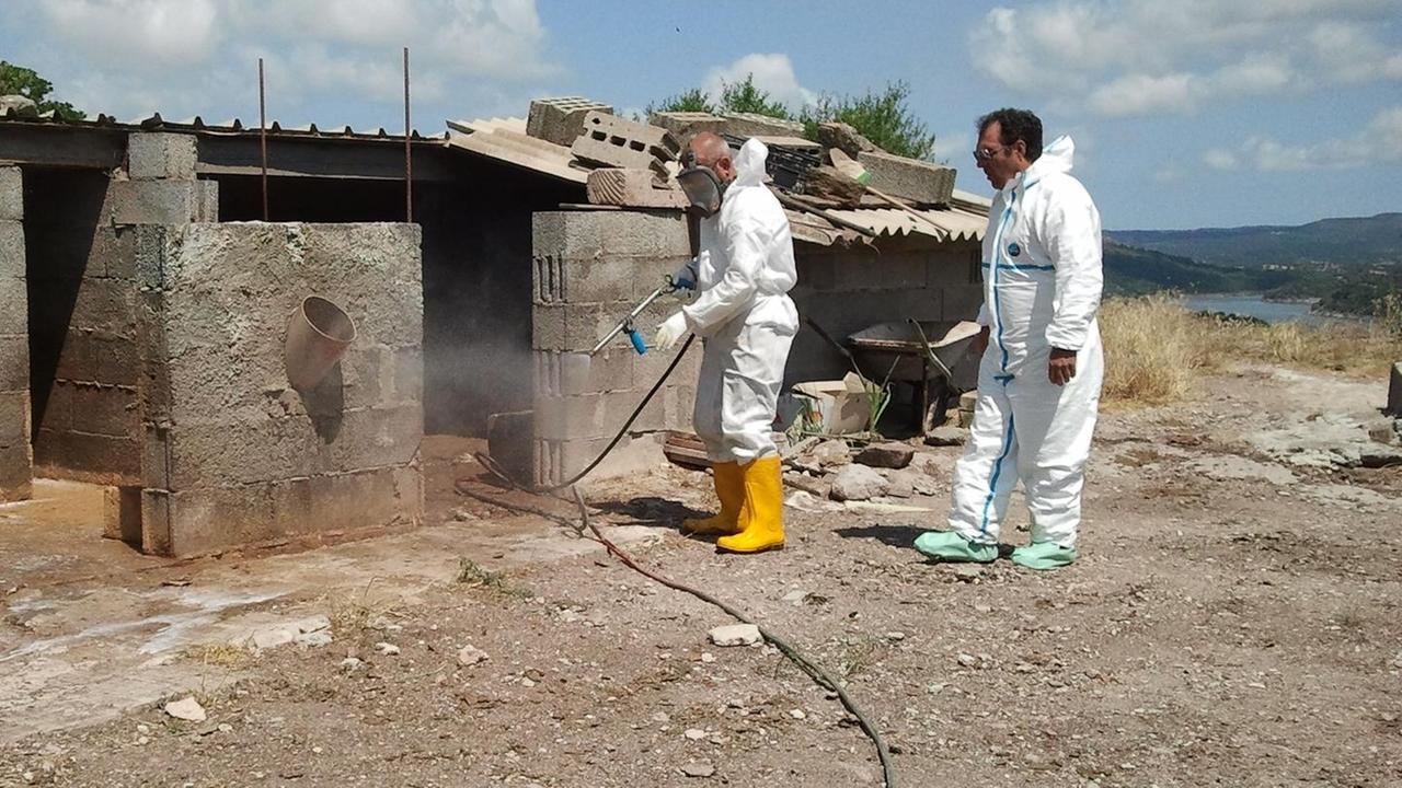 Assl, assicurati i servizi per la filiera alimentare