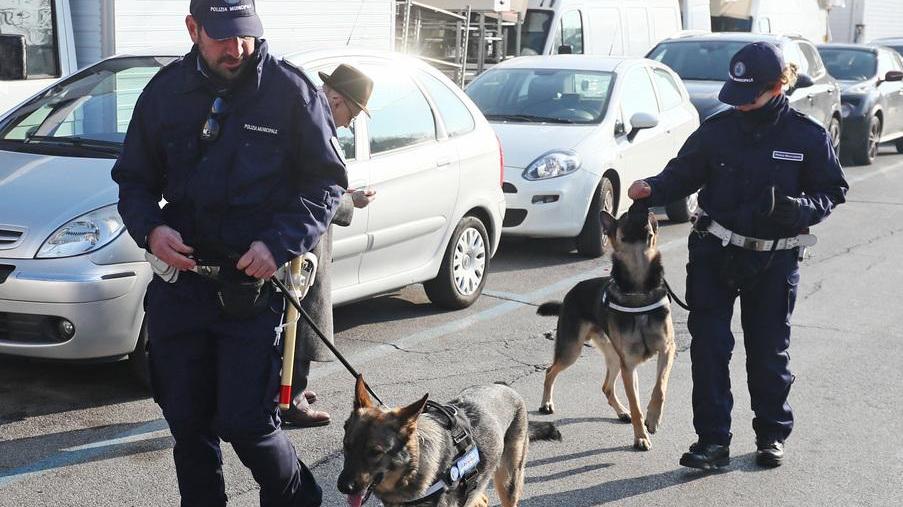 Aaron e Chloe fiutano la droga sotto terra Blitz della Polizia locale