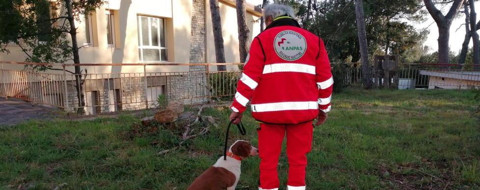 Coronavirus, i volontari dell’Assistenza portano a spasso i cani di chi è in quarantena 