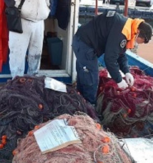 Tremila metri di reti da pesca alla Meloria: 2.300 euro di multa 