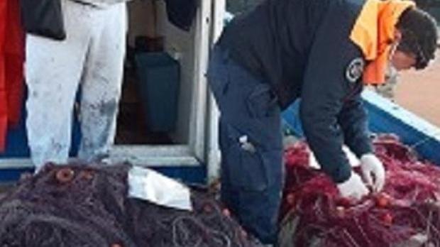 Tremila metri di reti da pesca alla Meloria: 2.300 euro di multa