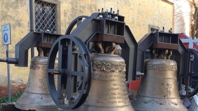 Oggi alle 11 le campane per benedire l’olivo