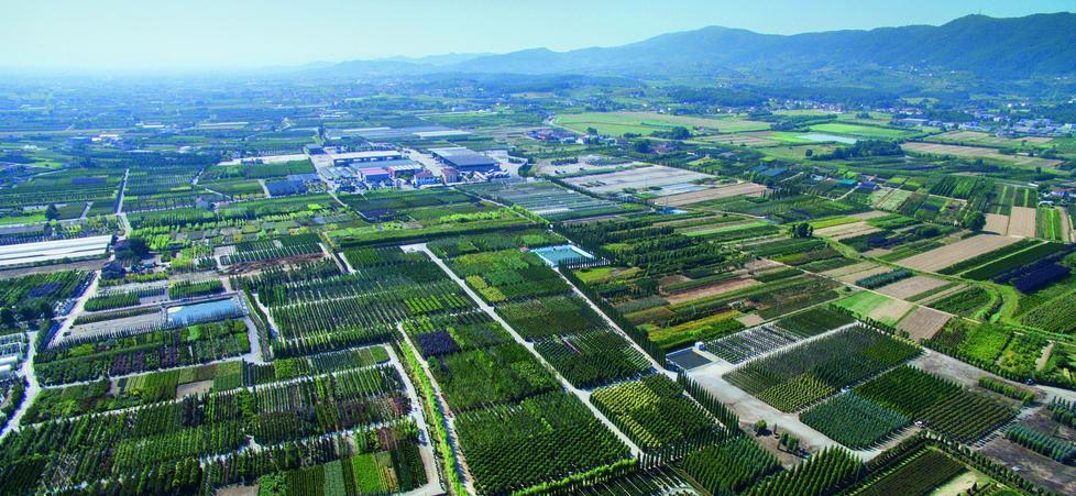 «Ripristinare le attività di manutenzione del verde» 