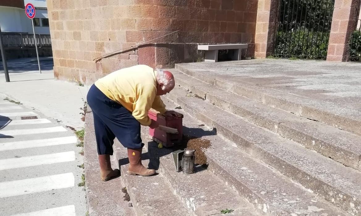 Sciame d’api sul sagrato della chiesa