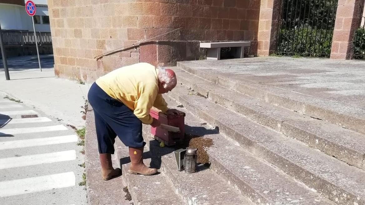 Sciame d’api sul sagrato della chiesa