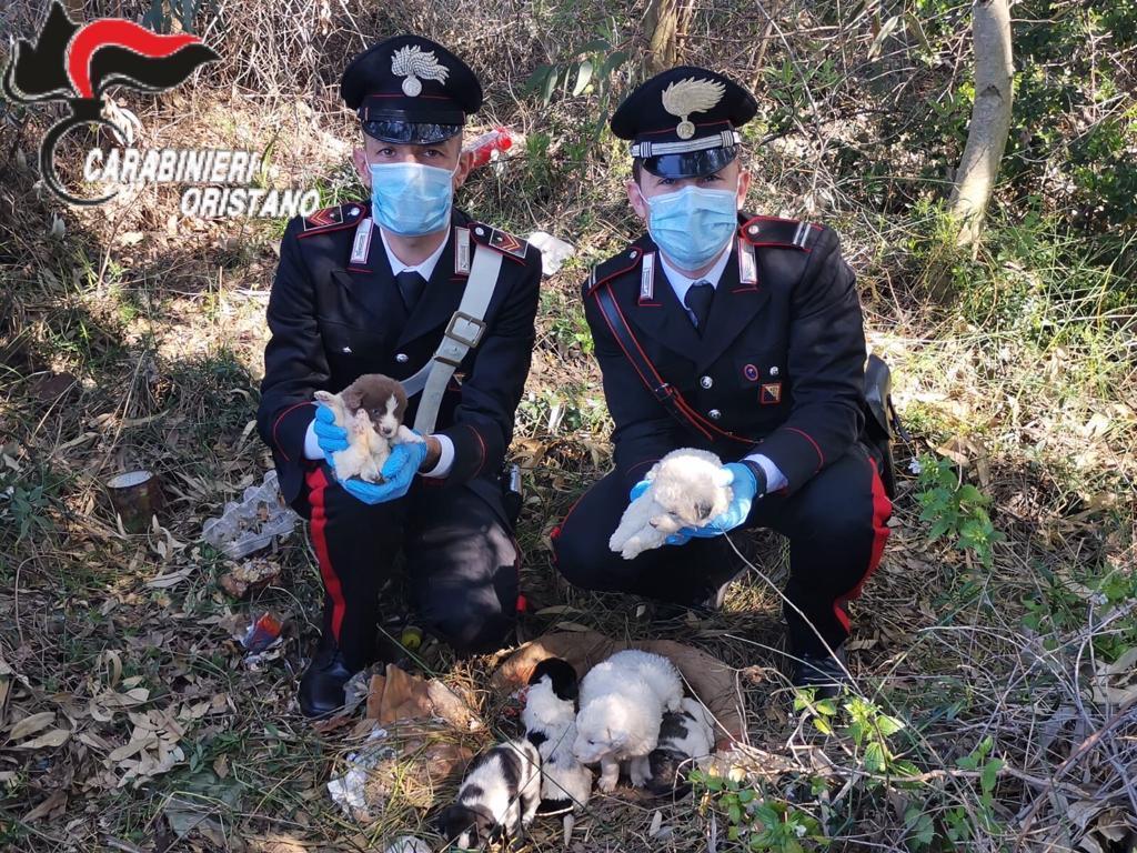 I carabinieri della stazione di Milis che hanno trovato la cucciolata