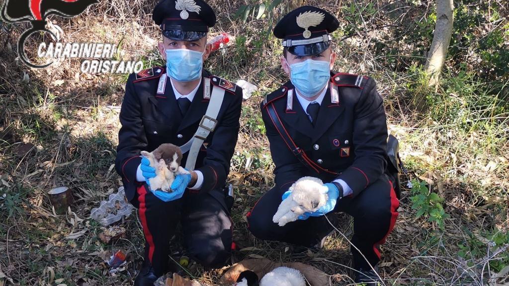 I carabinieri della stazione di Milis che hanno trovato la cucciolata