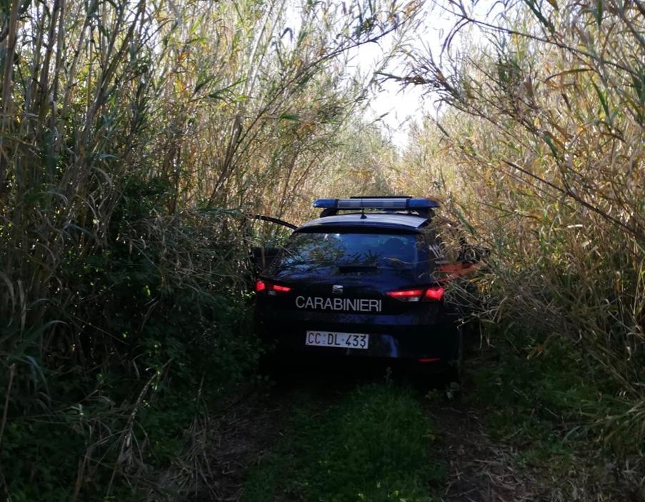 Coronavirus, botte ai carabinieri che lo fermano mentre fa jogging