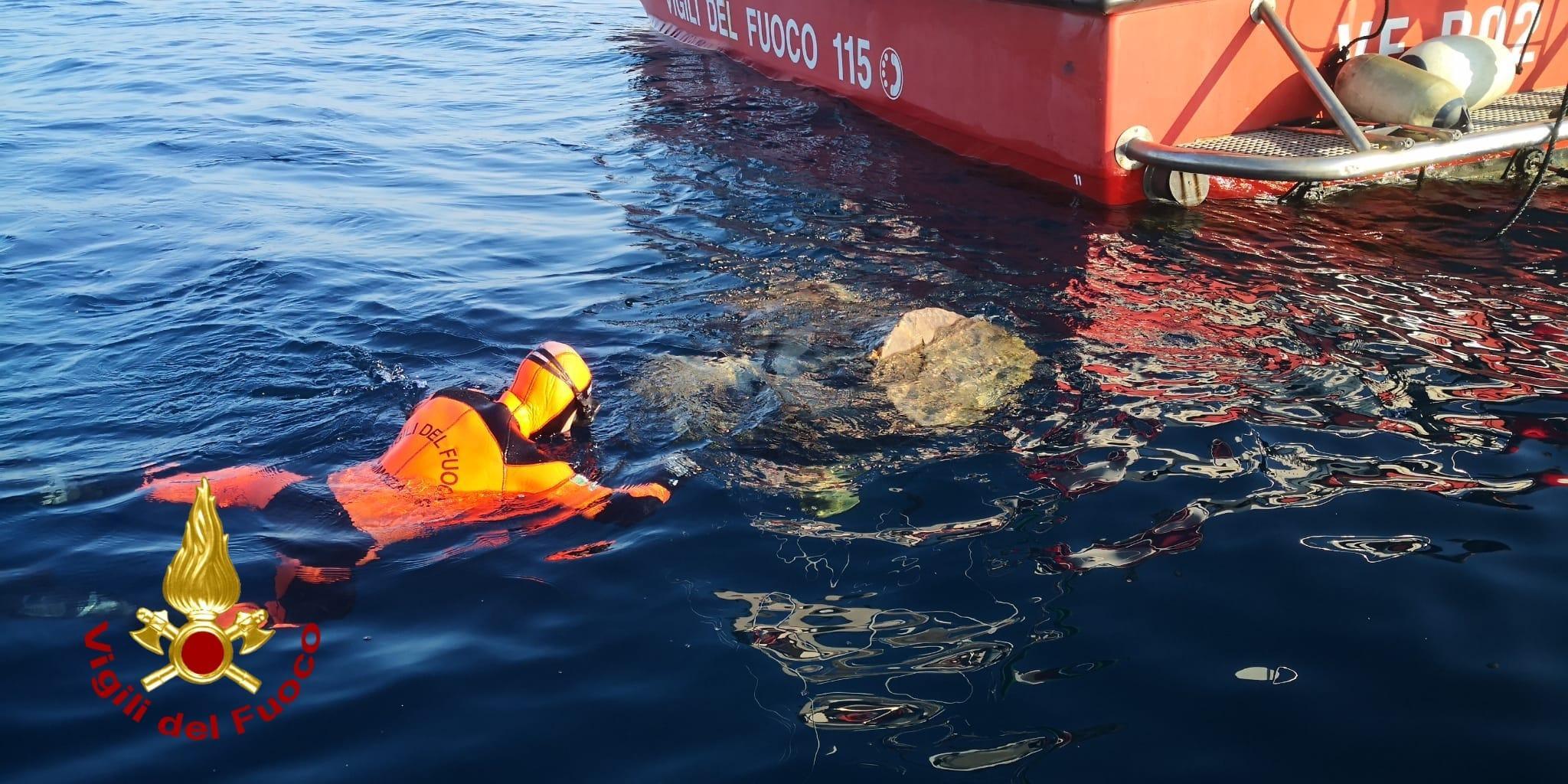 Porto Torres, una grande radice di sequoia in mare mette in pericolo la vedetta della Capitaneria