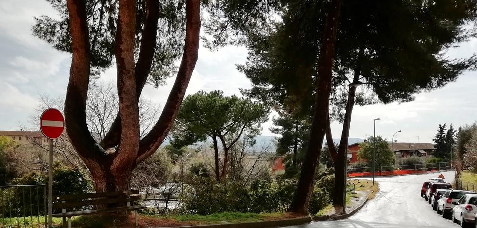 Nuova ordinanza su uffici comunali e verde pubblico 