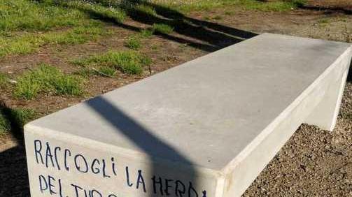 «Vado a fare la spesa» Ma aveva un coltello