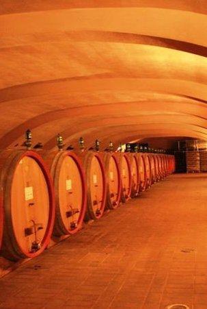 Cantina del vermentino: un milione e 400mila euro ai 350 soci