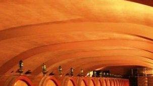 Cantina del vermentino: un milione e 400mila euro ai 350 soci