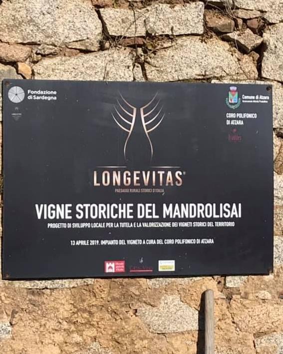 Il progetto Longevitas non si ferma 
