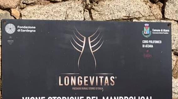 Il progetto Longevitas non si ferma 