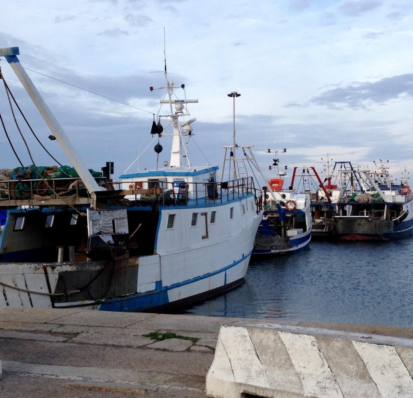 «Troppa burocrazia e indennità negate, siamo alla deriva» 