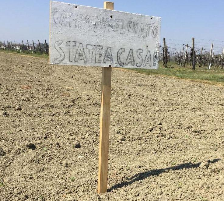 Coronavirus, «La gente invade i nostri campi per sfuggire ai controlli» 