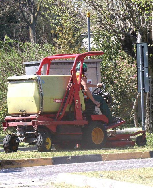 Sfalci e potature alberi Il piano verde non si ferma 