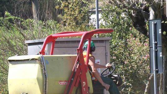 Sfalci e potature alberi Il piano verde non si ferma