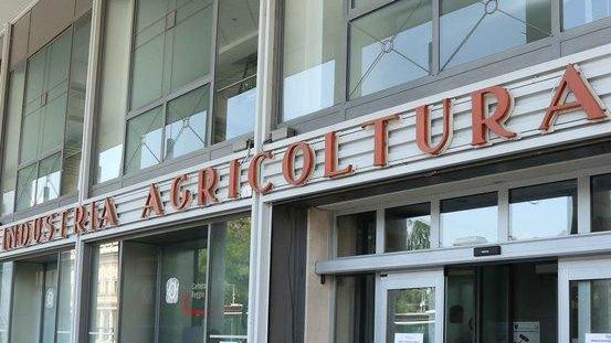 Camera di commercio «Priorità al credito anche a costo zero»