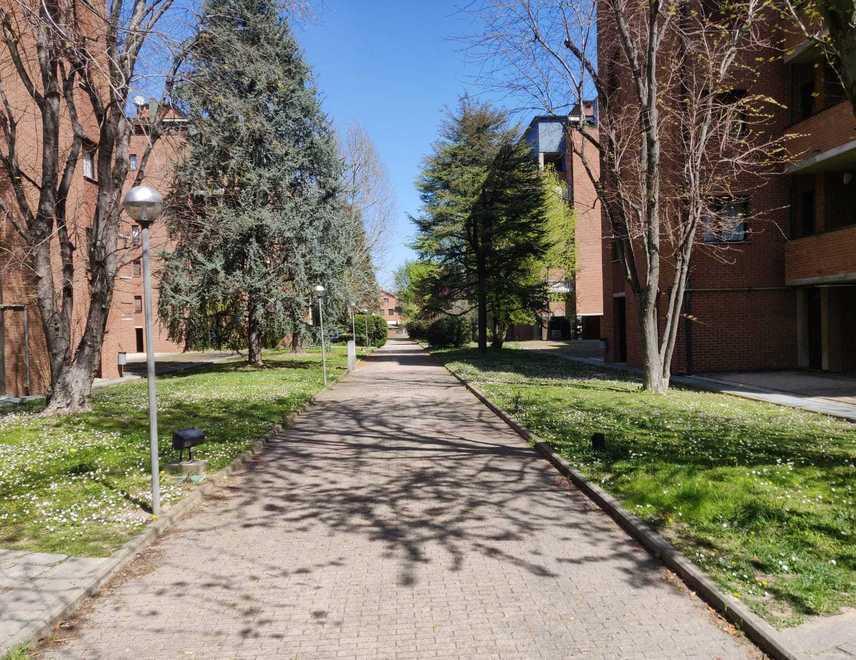 Sassuolo Il giardino condominiale troppo affollato «Ho chiamato i vigili» 