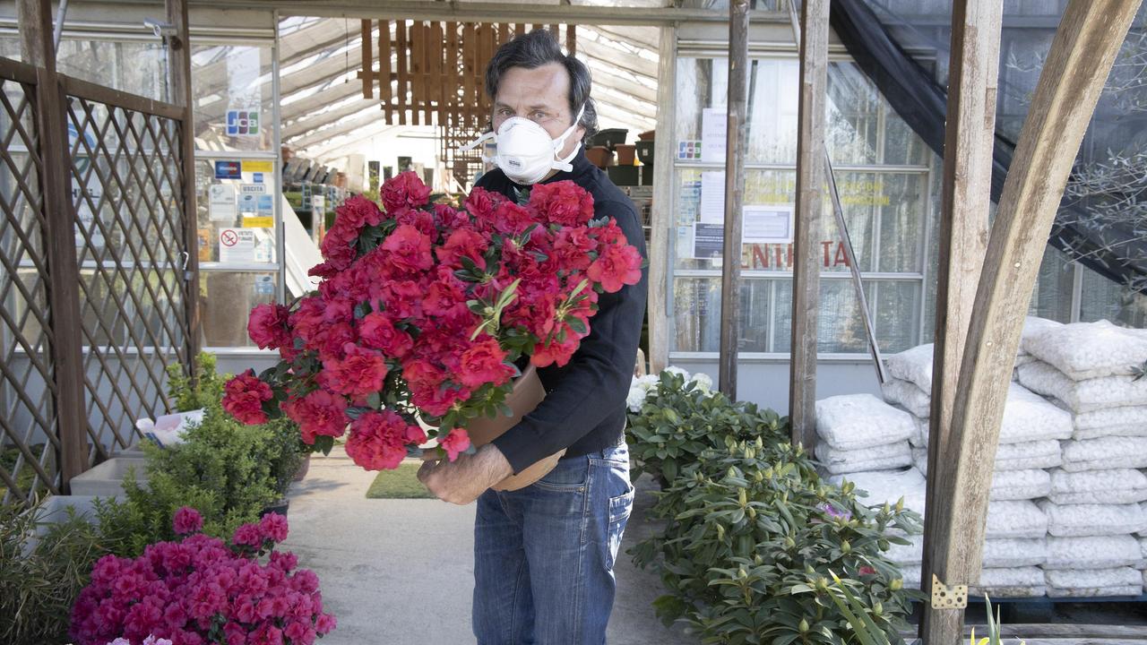 Modena. Quei fiori per lauree, anniversari e mamme «Senza dimenticare i medici al lavoro»