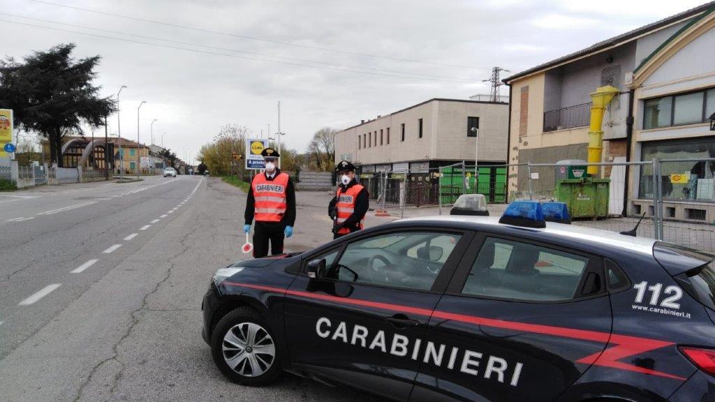 Ferrara. "Ho asportato il cane per lavarlo". La scusa non regge, sanzionato un negozio di tolettatura per animali