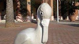 Mascherina anche al pellicano