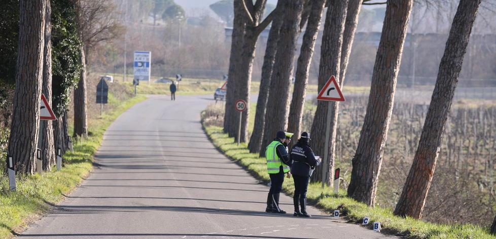 Verso un ulteriore taglio dei pini in via delle Città 