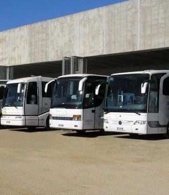 Il settore dei bus turistici «Rischiamo di sparire» 