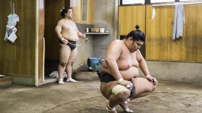 Giappone,contagiato primo lottatore sumo