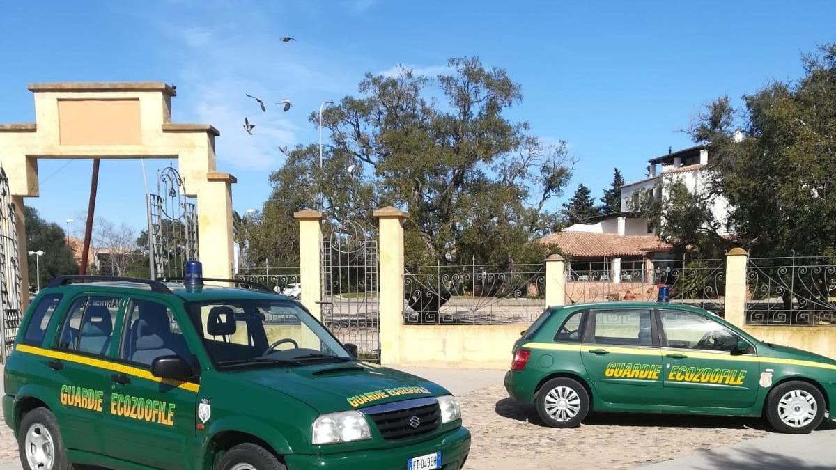 Coronavirus, controlli del Corpo forestale: 23 sanzionati