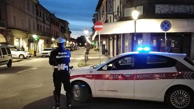 Multa all’autolavaggio «Ho trovato un gatto morto nel bagagliaio»