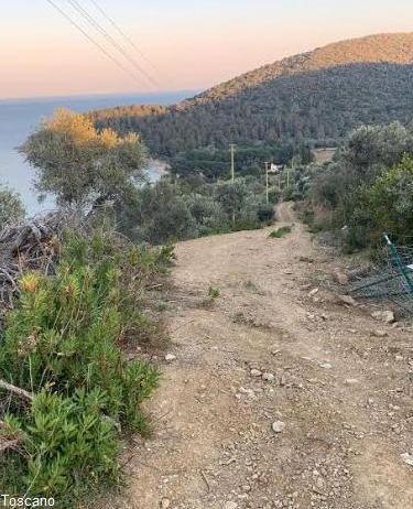 «Neanche il coronavirus ferma le ruspe a Galenzanza» 