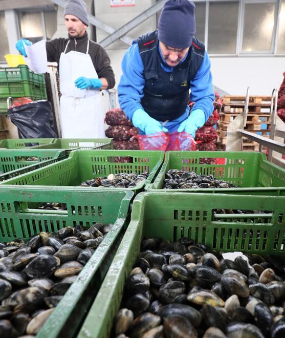 In mare per beneficenza L’iniziativa dei pescatori