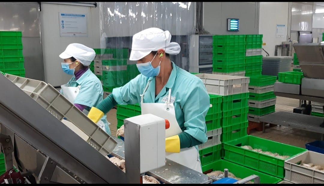Un passaggio della produzione nello stabilimento di Olbia