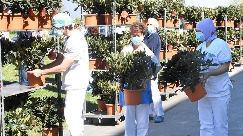 1.500 piante per medici, infermieri e ausiliari