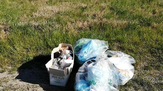 Altri rifiuti abbandonati nei campi di Bondeno