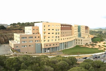 I positivi scendono a 13 Satta: stare a casa funziona 