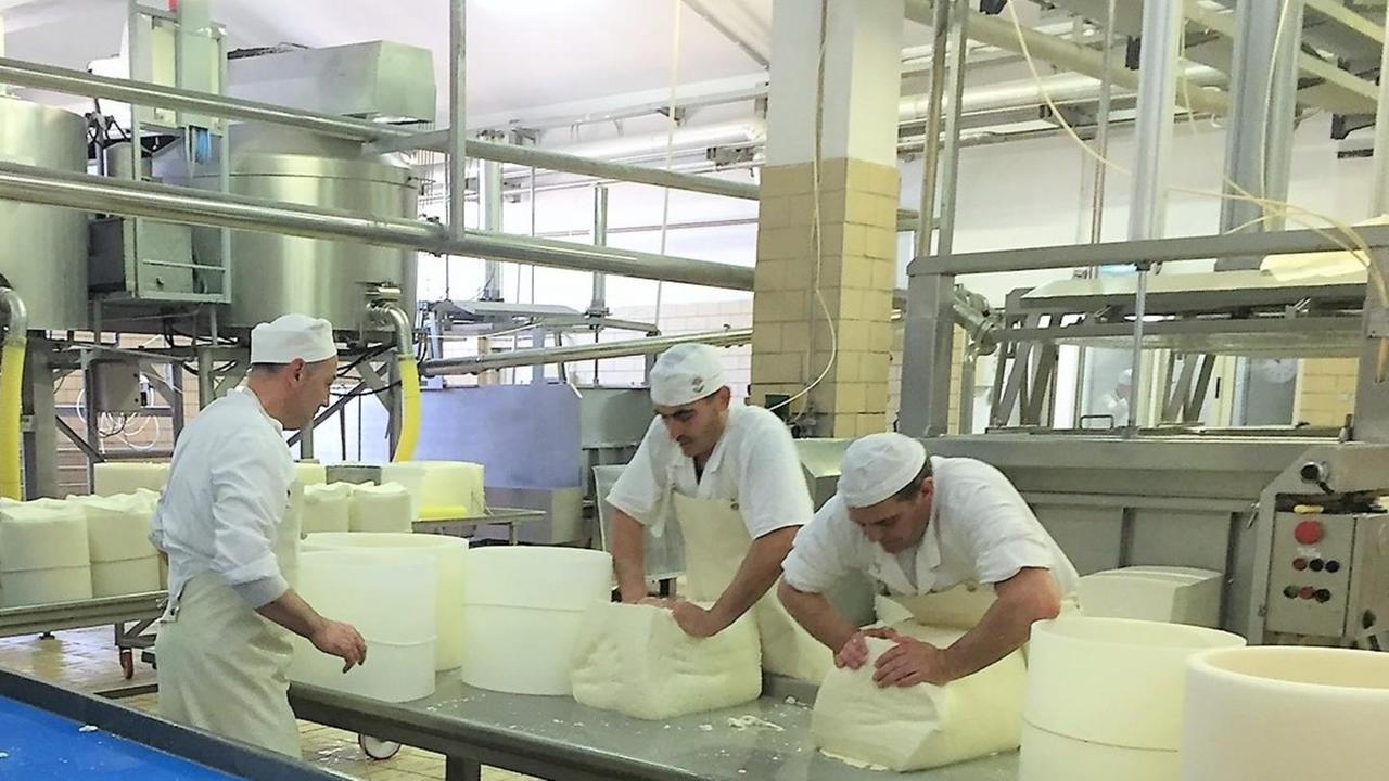Più tutele per il marchio del Pecorino romano