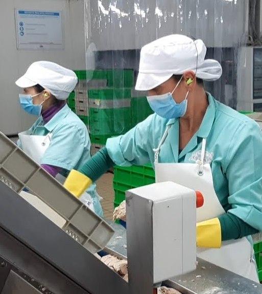 As do mar batte la crisi: sconti e 100 assunzioni 