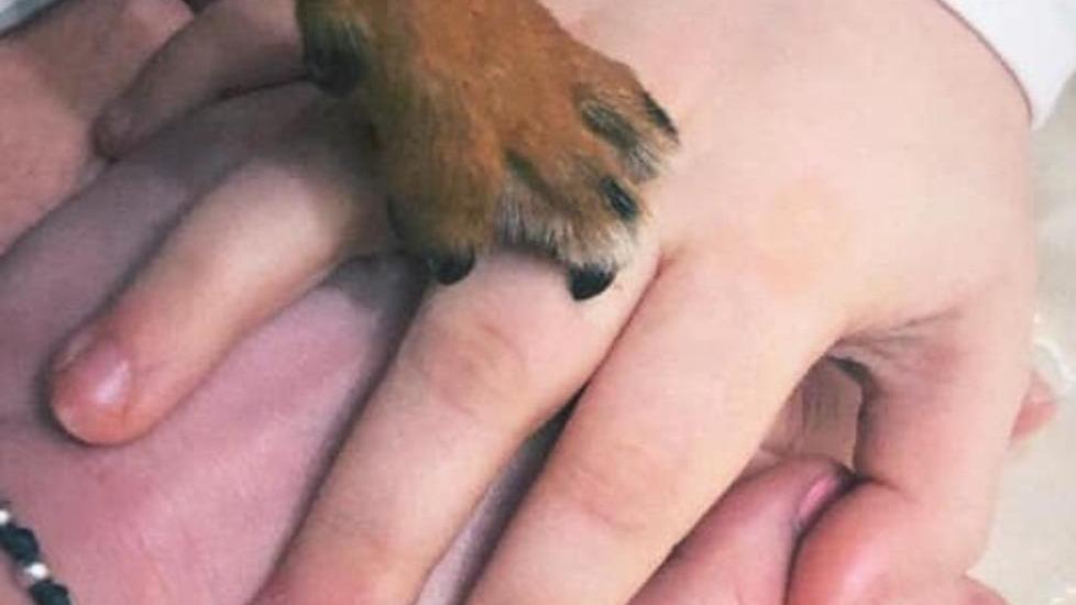 Le mani intrecciate e l’impegno verso gli anziani: ecco la Pasqua modenese delle parrocchie