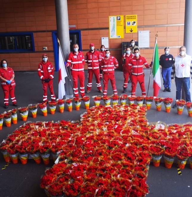 Piantine di begonia per tutto l’ospedale